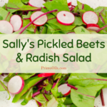 Sally's Pickled Beets and Radish Salad Banner