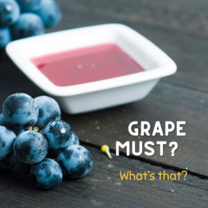Grapes Main Components