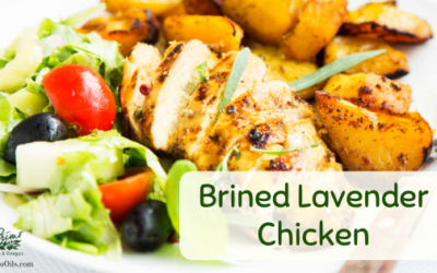 Brined Lavender Chicken Recipe