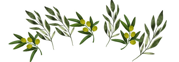 olive branches
